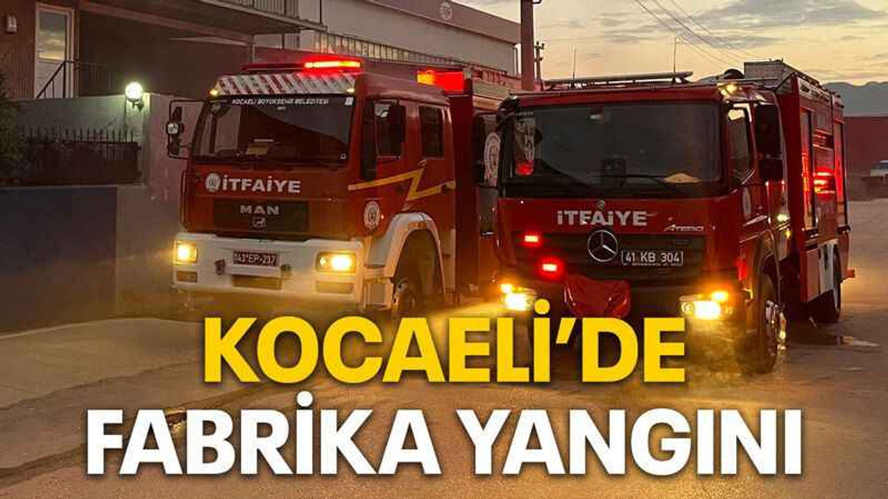 Kocaeli’de fabrika yangını